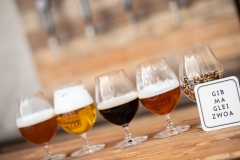 Beer Craft Fest 2018-Samstag-WEB-0103-0811