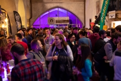 Beer Craft Fest 2018-Samstag-WEB-0713-0811